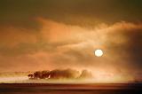 Foggy Sunrise_19925